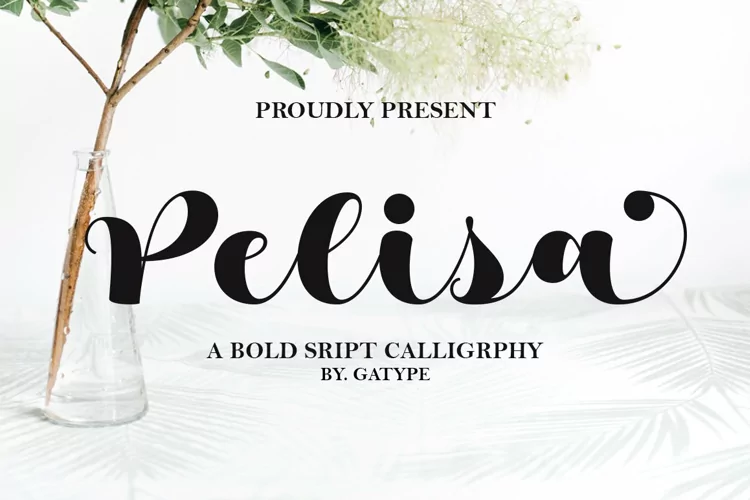 Pelisa