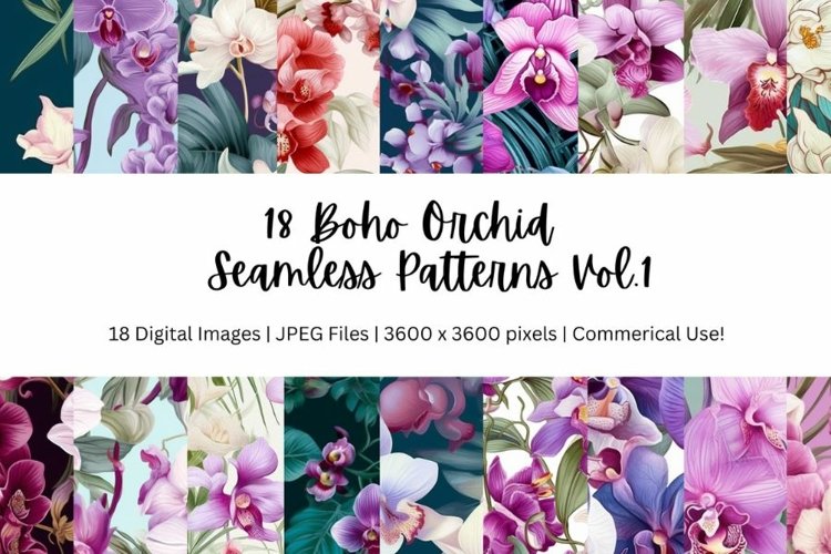 Orchid Clipart Image 22