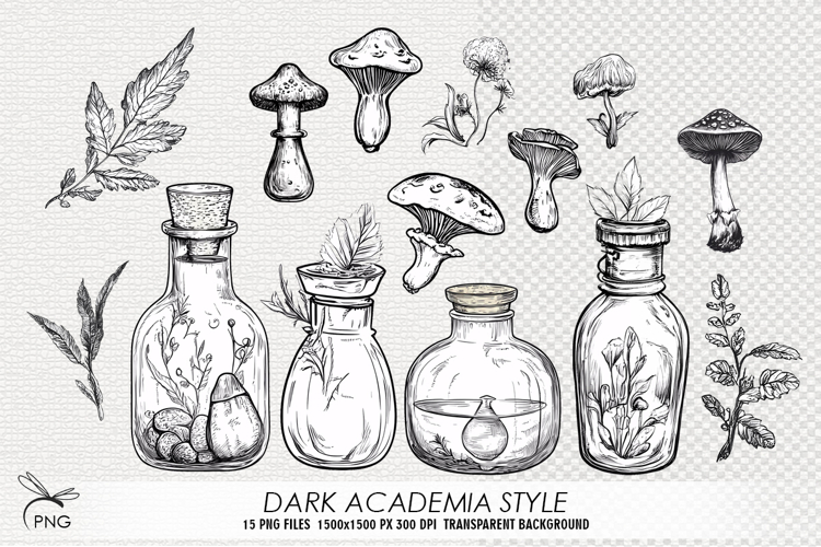 Mushrooms Png Image 14