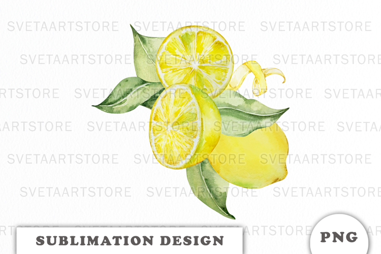 Floral Border Png Image 23