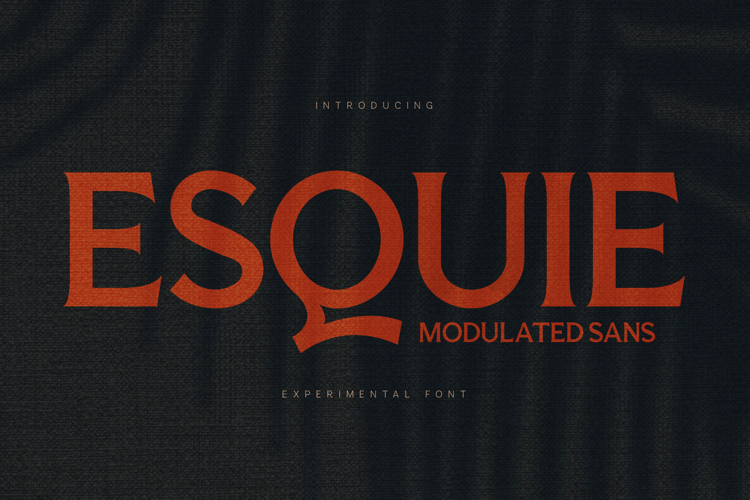 Esquie Modulated Sans