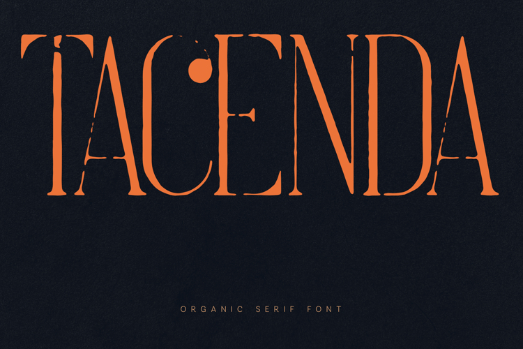 Tacenda Organic Serif Modern Decorative Display