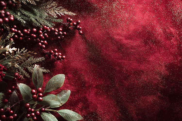 Holiday Background Image 22