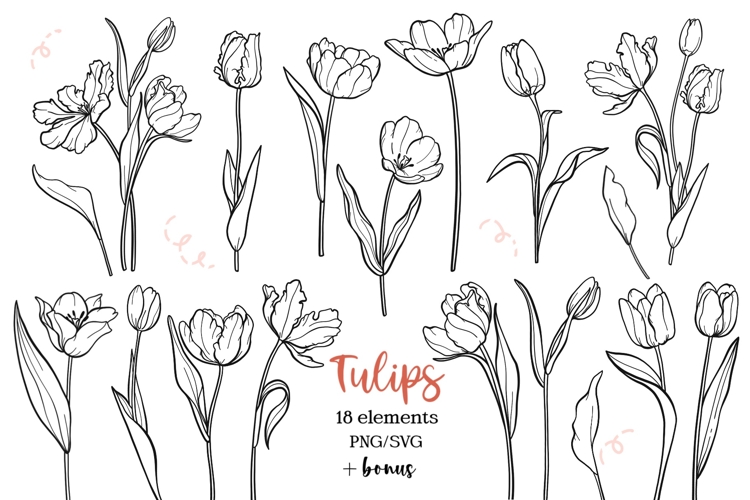 Line Clipart Image 24