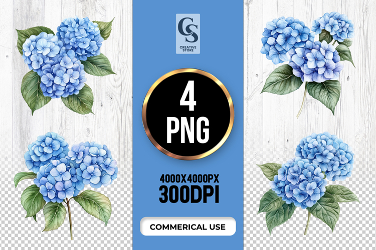 Hydrangea Clipart Image 17