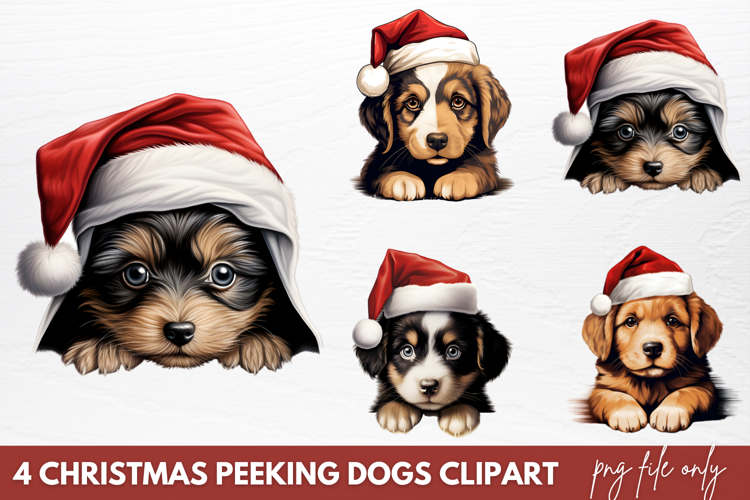 Dogs Png Image 16