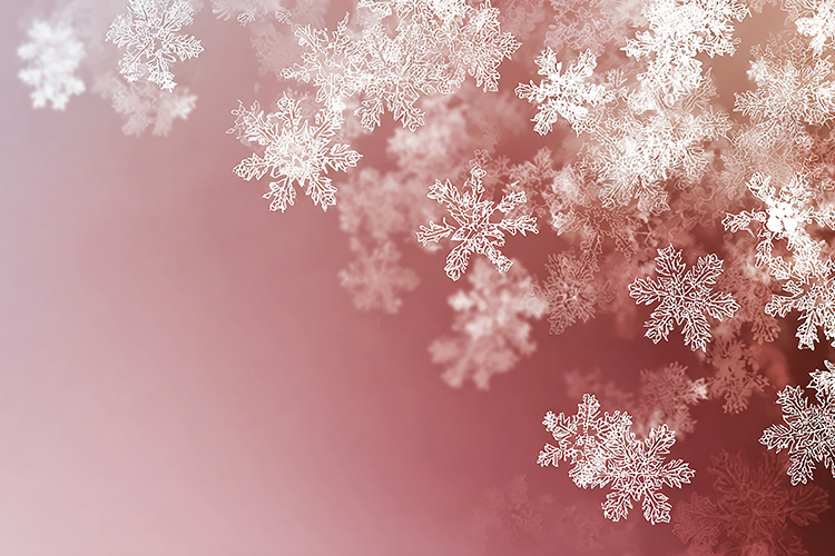 A delicate arrangement of white snowflakes on a soft pink