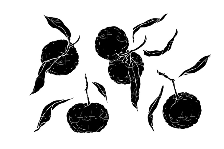 Fruit Doodle Image 12