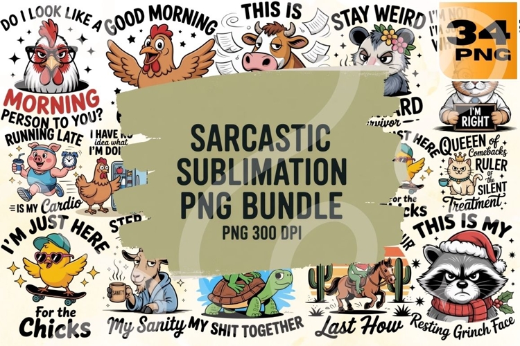 Sarcastic PNG Bundle 34 Snarky Sublimation Designs
