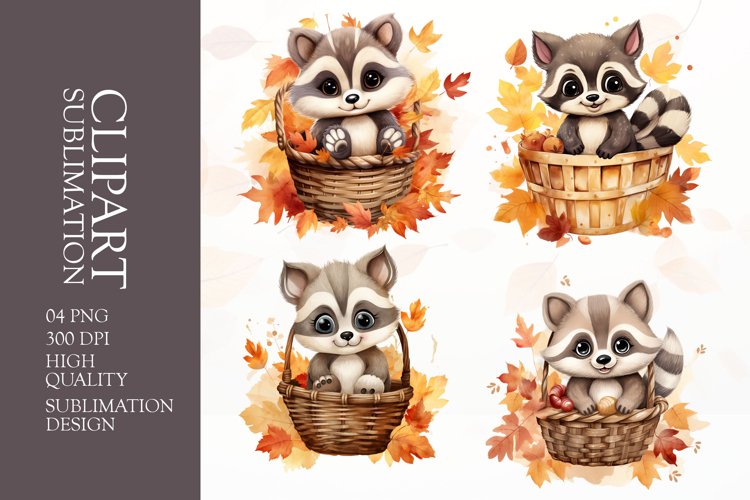 Raccoon Illustration Image 6