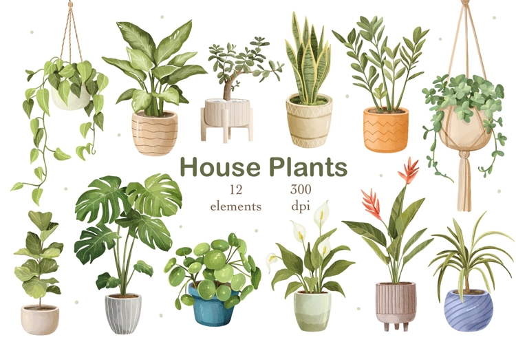 Potted Plants Png Image 12