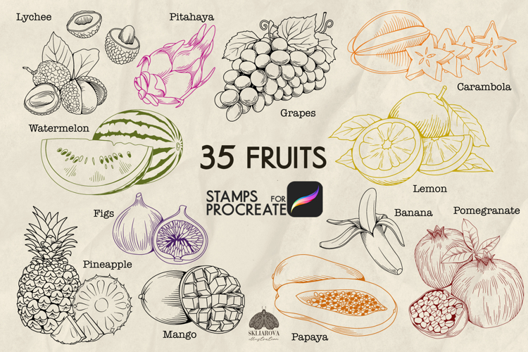 Fruits Procreate Stamp Brushes