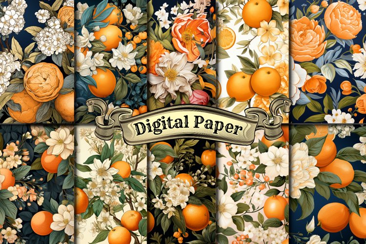 Oranges Clipart Image 7