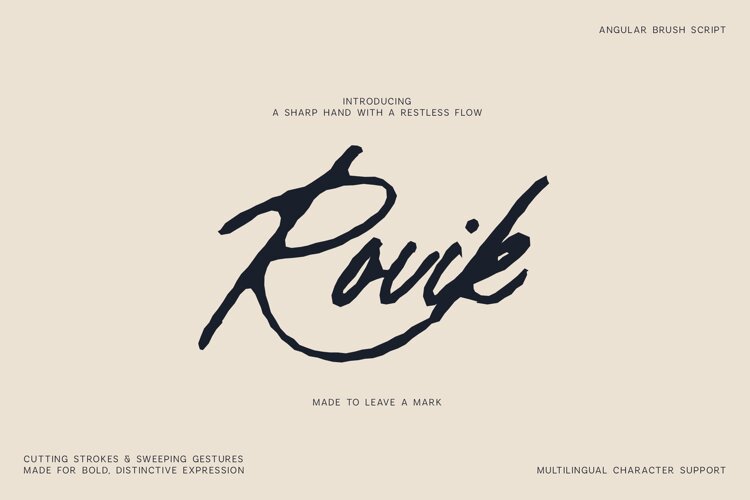 Rovik Angular Brush Script Font example image 1