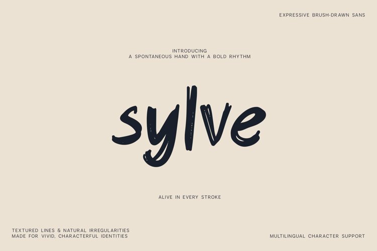 Sylve Expressive Brush Drawn Sans Font example image 1