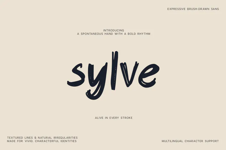 Sylve Expressive Brush Drawn Sans Font