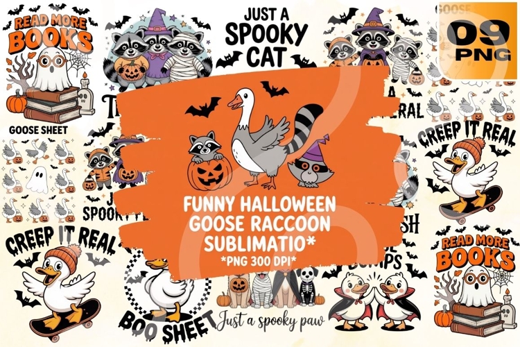 Raccoon Png Image 18
