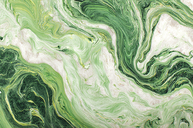 White Marble Background Image 2