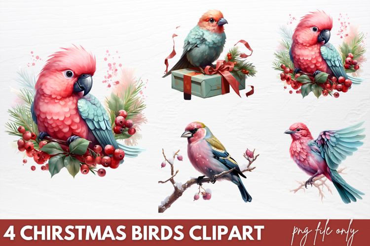 Birds Png Image 3