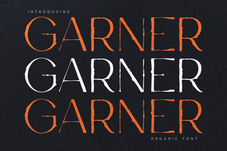 Garner Organic Handmade Serif Font