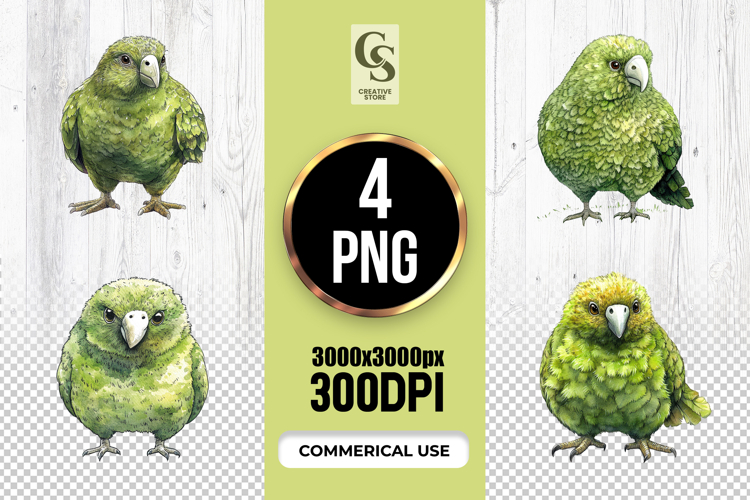 Green Parrot Watercolor Clipart Sublimation PNG