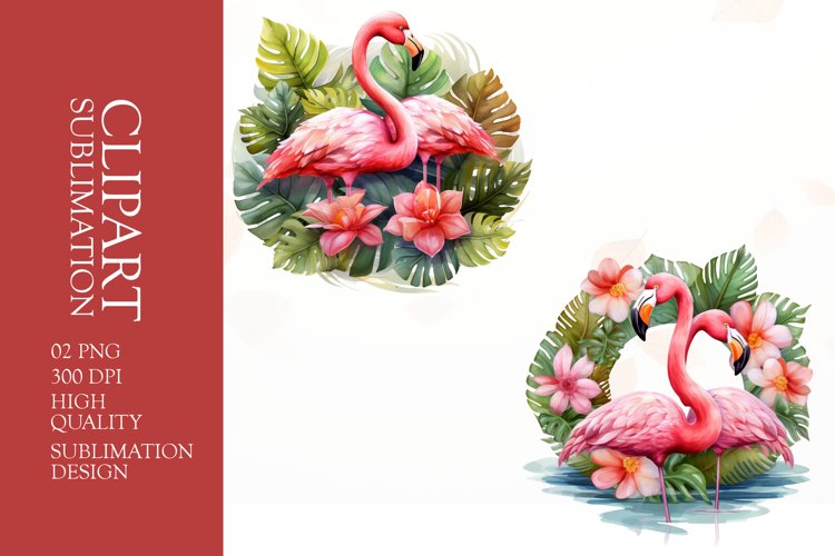 Flamingo Clipart Image 12