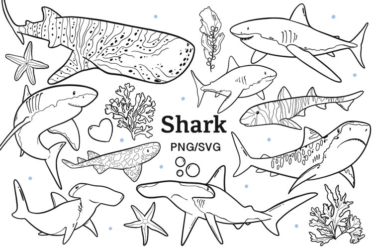 Shark Line Art PNG SVG