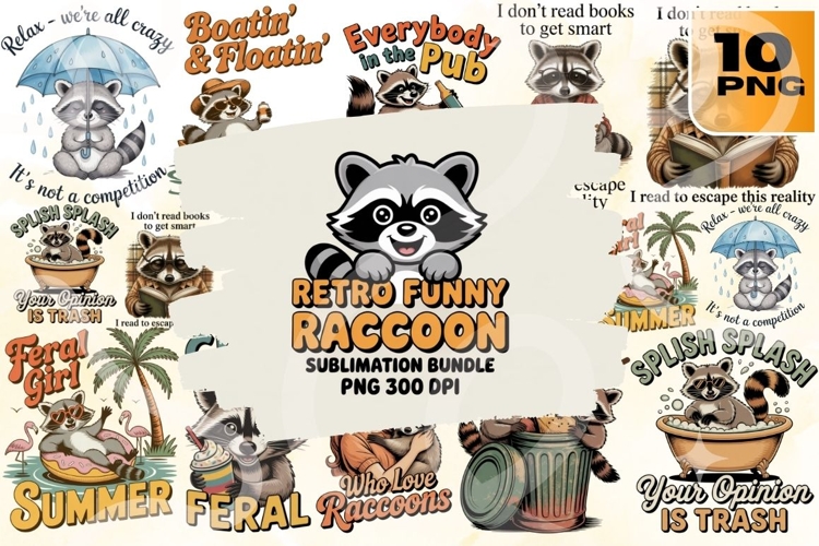 Raccoon Png Image 21