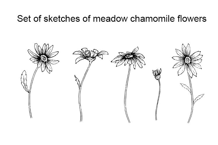 Garden Clipart Image 8