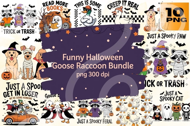 Raccoon Png Image 23