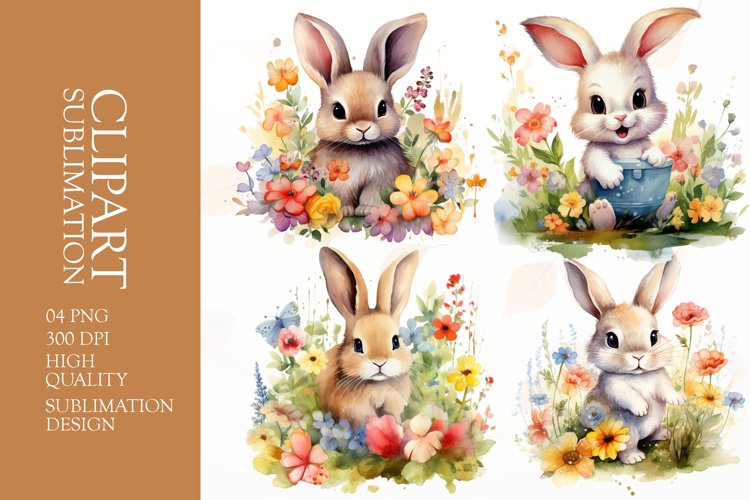 Rabbit Png Image 22