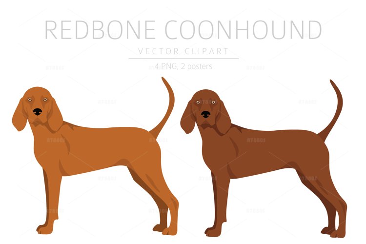Redbone Coonhound clipart