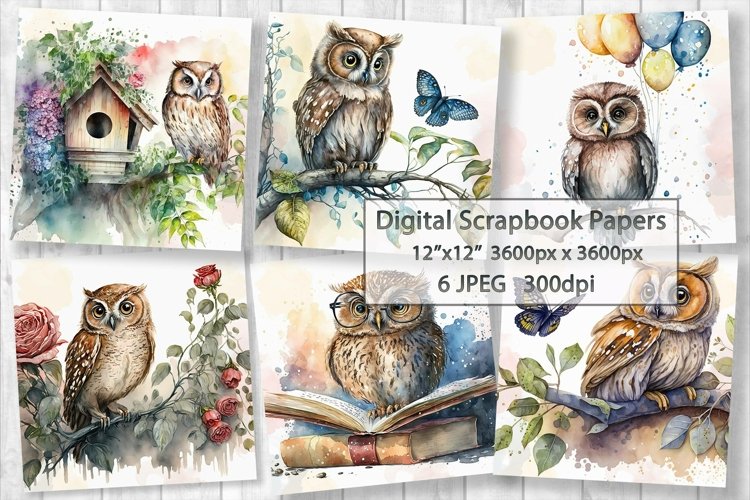 Owl Clipart Image 19