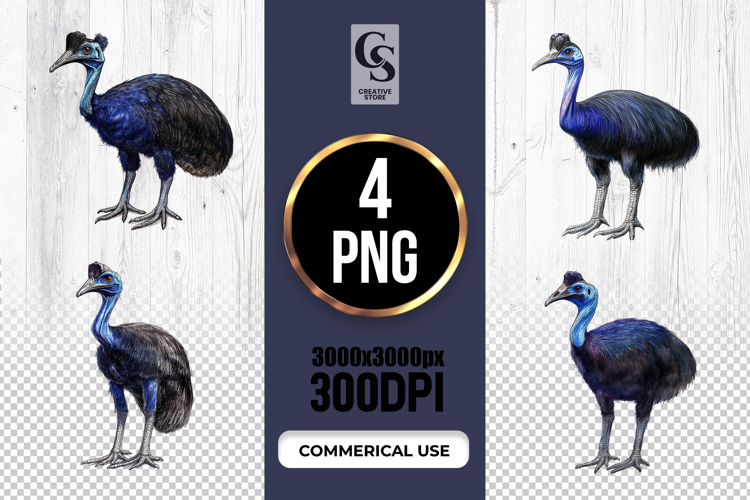 Watercolor Cassowary Bird Clipart Sublimation PNG
