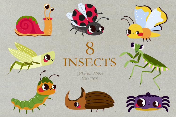 Cute Bugs Clipart , Hand Drawn Insects Graphics