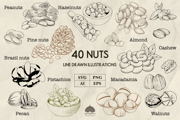 Nuts line art collection Svg Png Eps