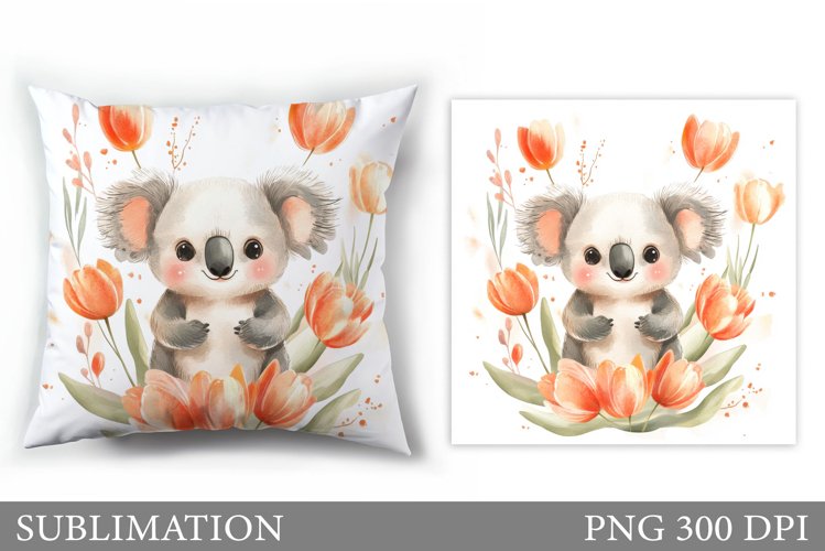 Cute Koala Pictures Image 3