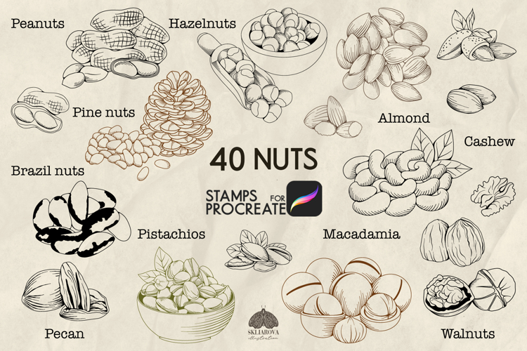 Nuts Procreate stamp brushes