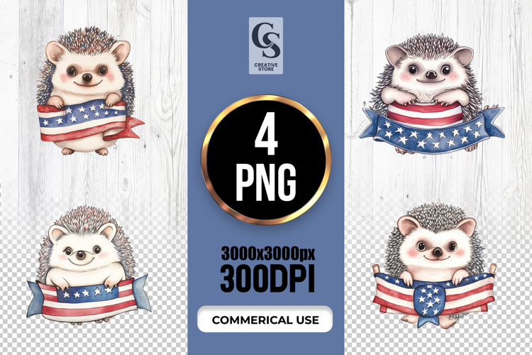 Flag Clipart Image 12