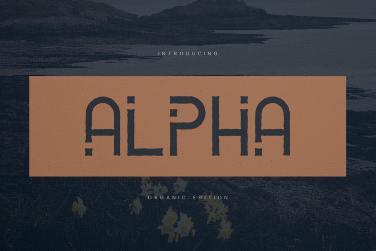 Alpha Organic Distressed Display Font