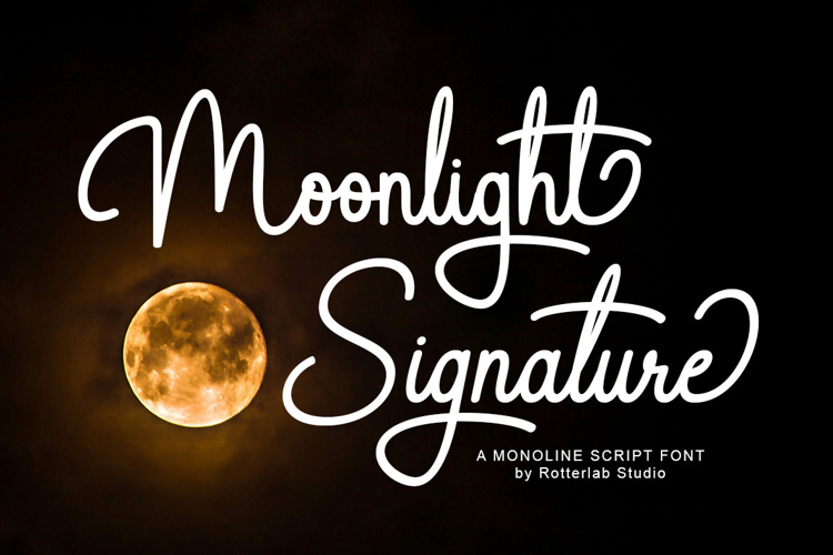 Signature Fonts Image 2