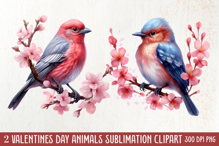 Valentines Day Animals Clipart, Valentines Couple