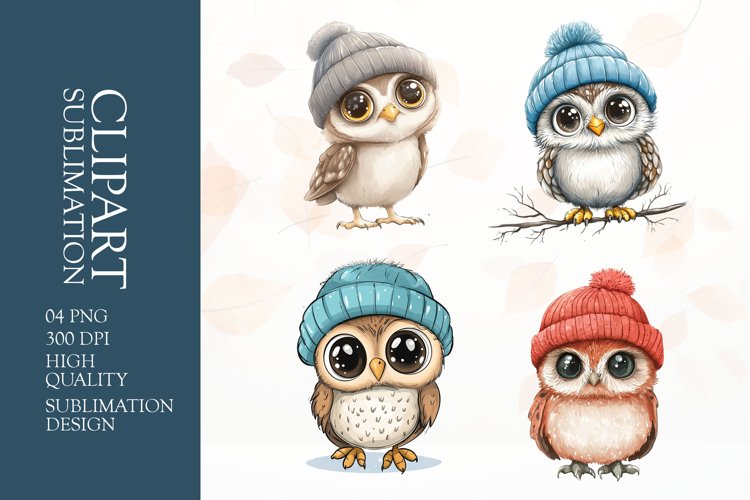 Owl Illustration Image 12