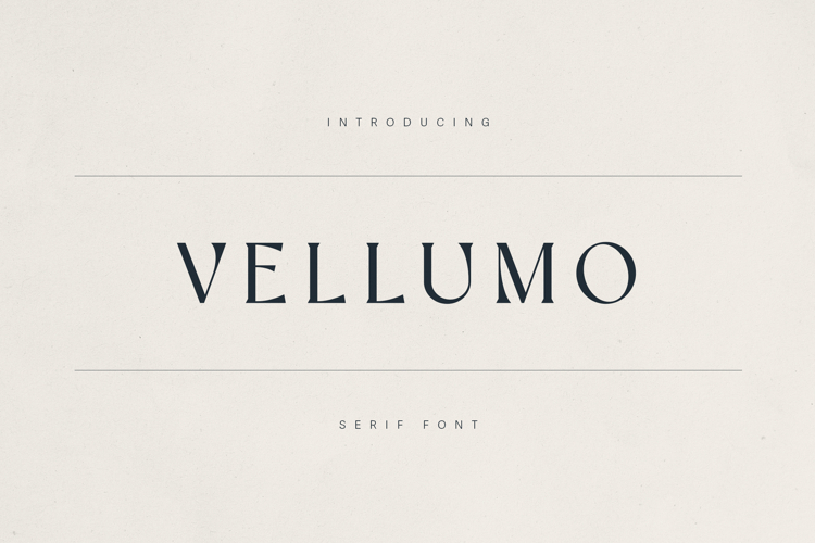 Classy fonts Image 6
