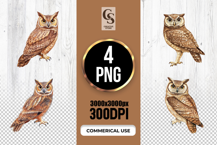 Watercolor Owl Illustration Clipart Sublimation PNG