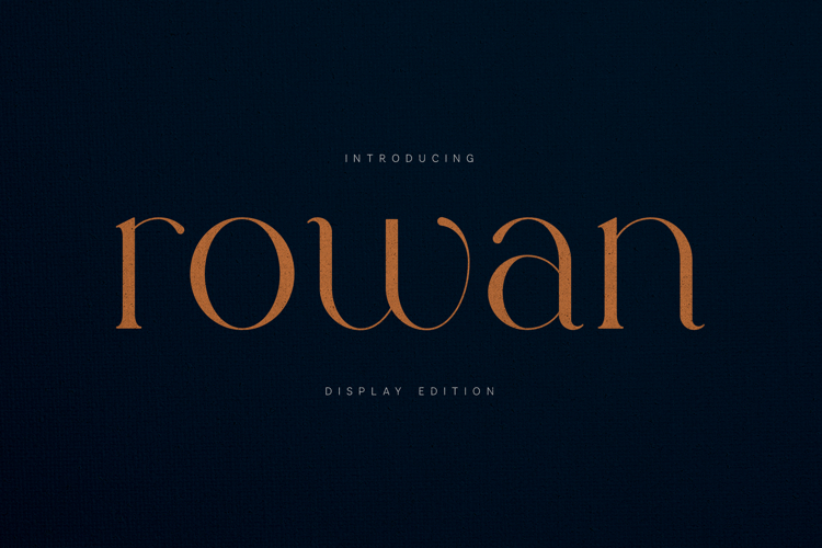 Rowan Elegant Modern Serif Display Font