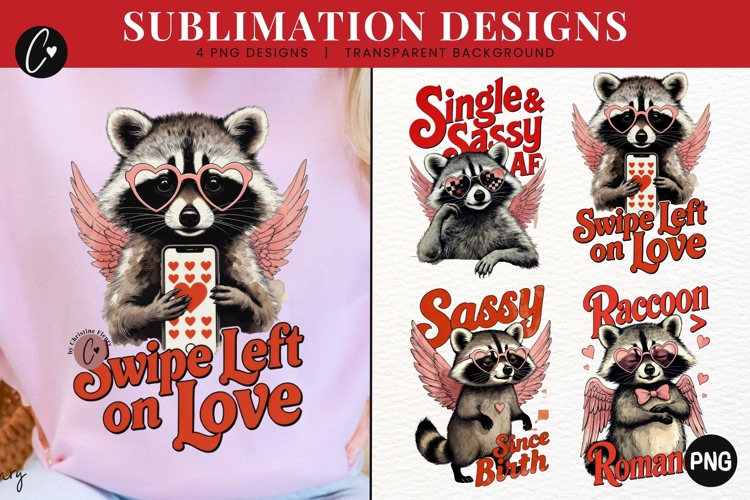 Funny Valentine Raccoon PNG - 4 Designs