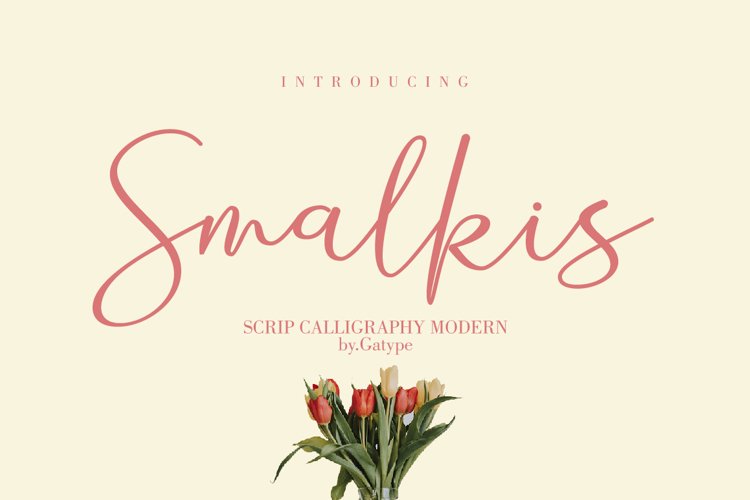 Smalkis example image 1