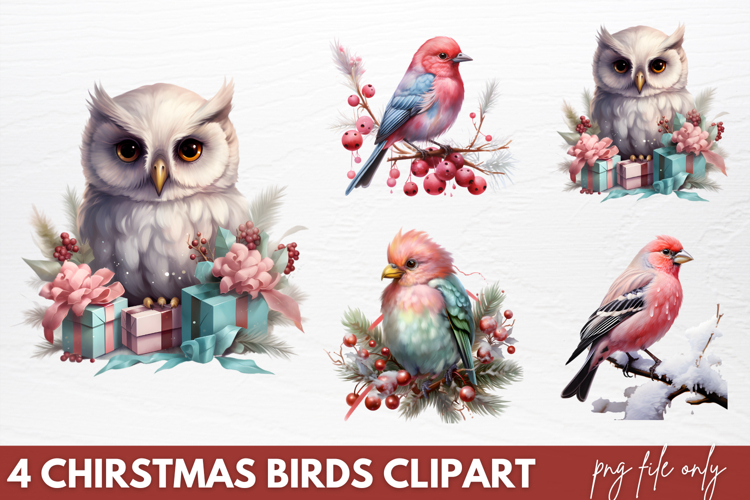 Birds Png Image 8