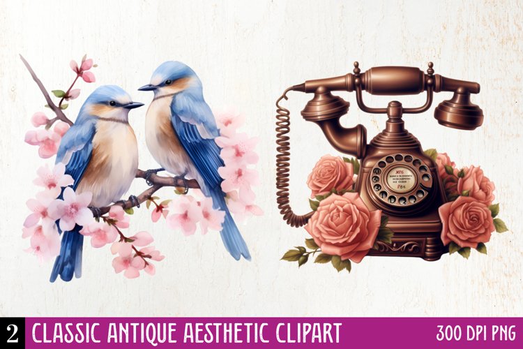 Aesthetic Clipart Image 5